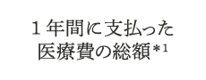 1年間に支払った医療費の総額*1