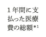 1年間に支払った医療費の総額*1